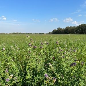 Meet your Posher, Trina